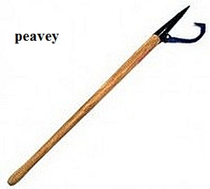 peavey-1